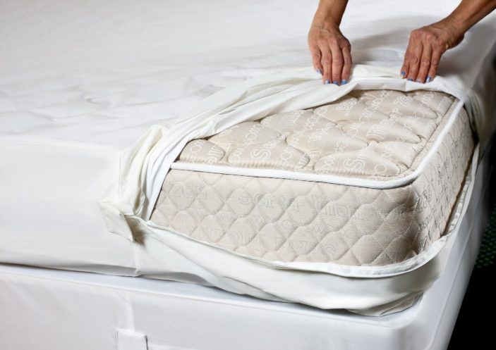 woman covering mattress with bed bug cover